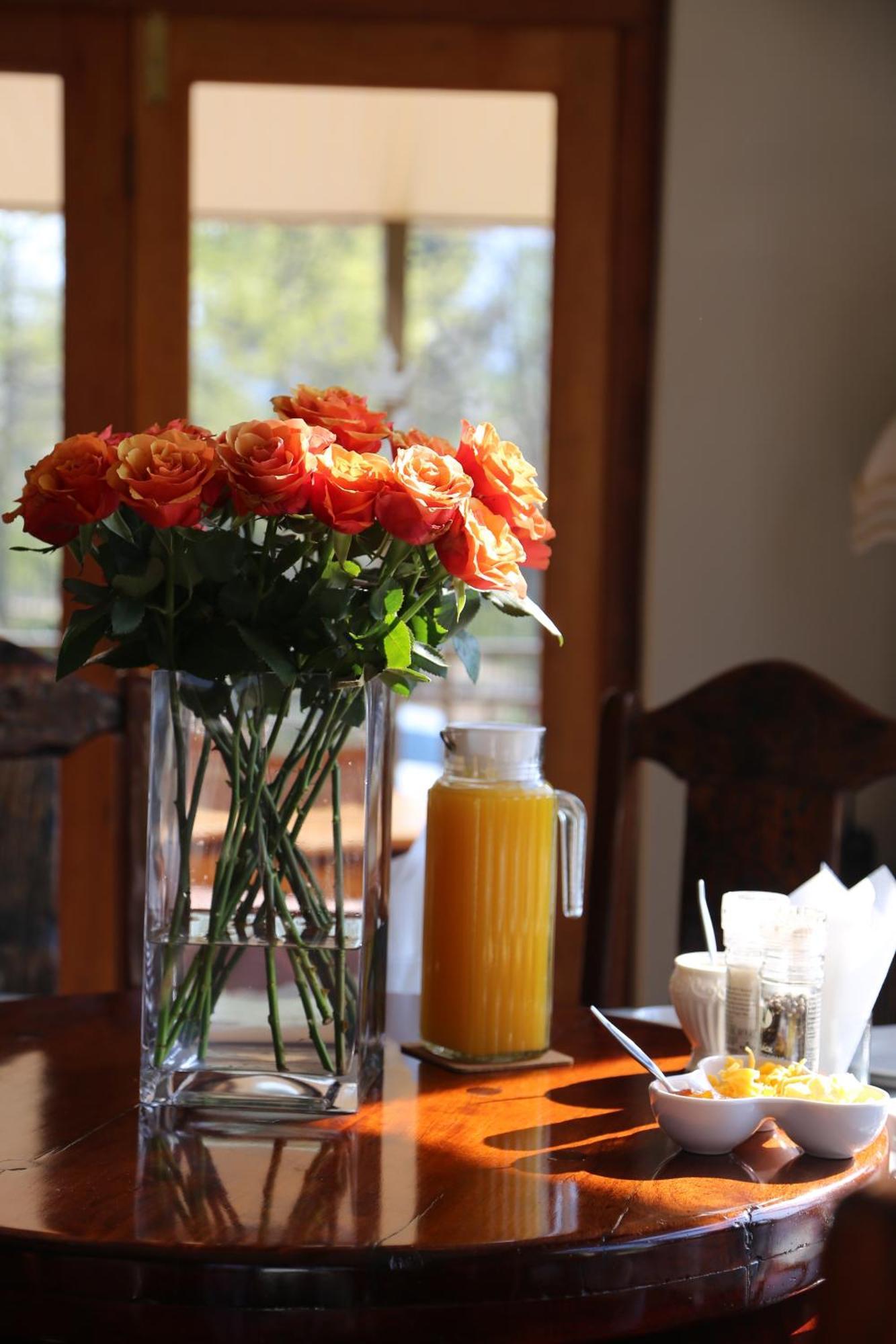 Mt Horeb Manor Clarens Εξωτερικό φωτογραφία